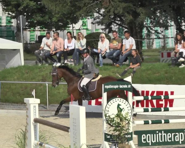 Reitturnier Durmersheim-Hardt 2017
