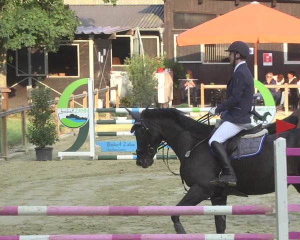Reitturnier Walldorf/Winterheck 2017