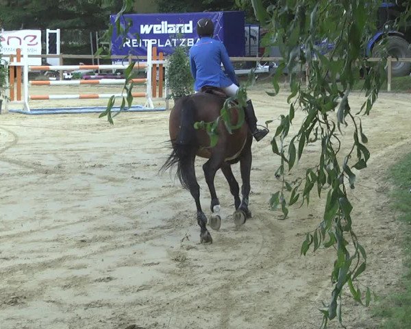 Reitturnier Walldorf/Winterheck 2017