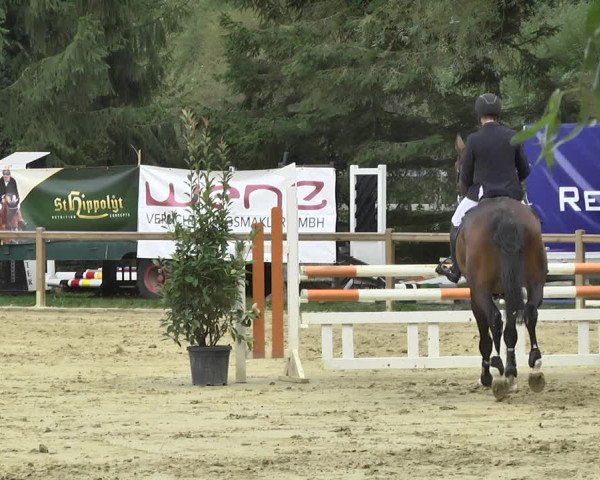 Reitturnier Walldorf/Winterheck 2017