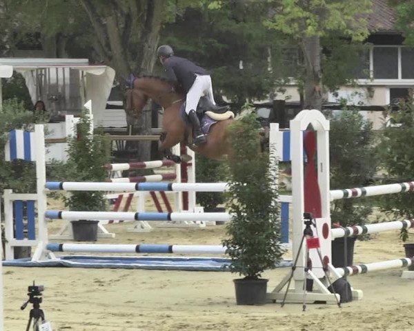 Reitturnier Walldorf/Winterheck 2017