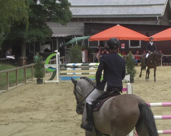 Reitturnier Walldorf/Winterheck 2017