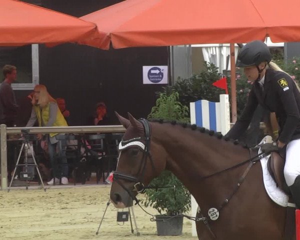 Reitturnier Walldorf/Winterheck 2017