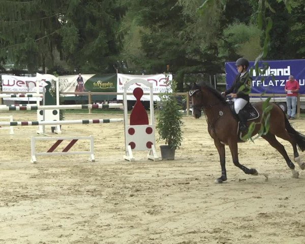 Reitturnier Walldorf/Winterheck 2017
