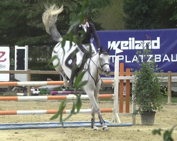 Reitturnier Walldorf/Winterheck 2017