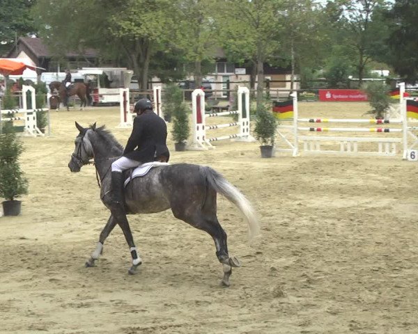 Reitturnier Walldorf/Winterheck 2017