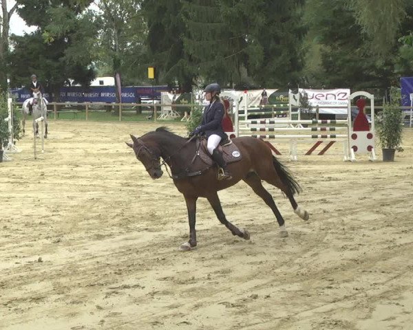 Reitturnier Walldorf/Winterheck 2017