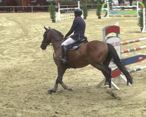 Reitturnier Walldorf/Winterheck 2017