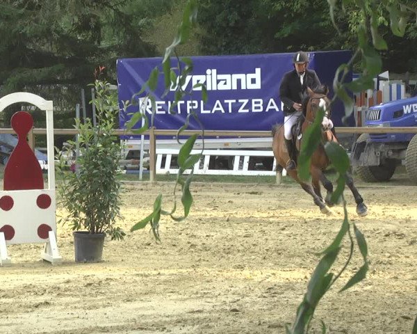 Reitturnier Walldorf/Winterheck 2017