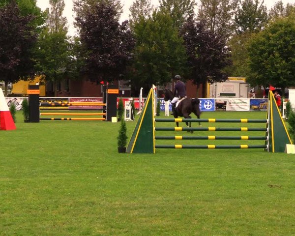 Reitturnier Münchehofe 2017