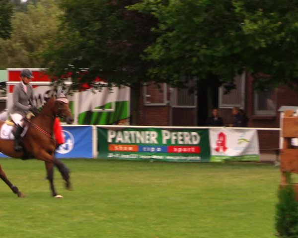 Reitturnier Münchehofe 2017