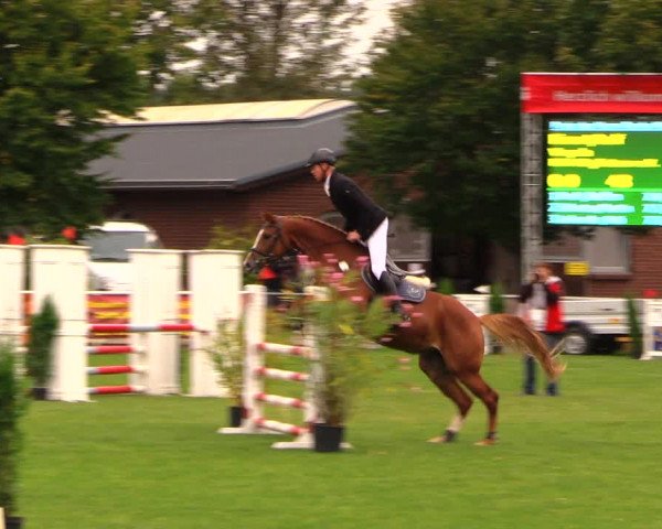 Reitturnier Münchehofe 2017