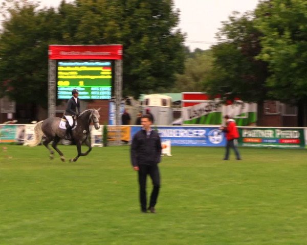 Reitturnier Münchehofe 2017
