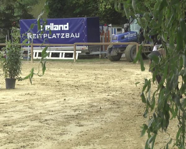 Reitturnier Walldorf/Winterheck 2017
