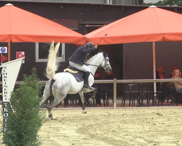 Reitturnier Walldorf/Winterheck 2017