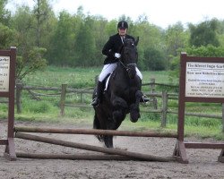 horse Marten van Angsbuurt (unknown, 2004)