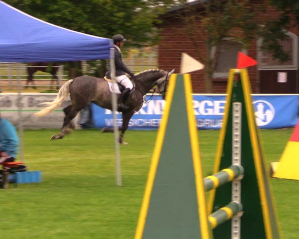 Reitturnier Münchehofe 2017