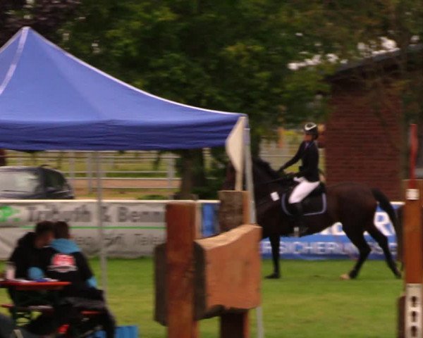 Reitturnier Münchehofe 2017
