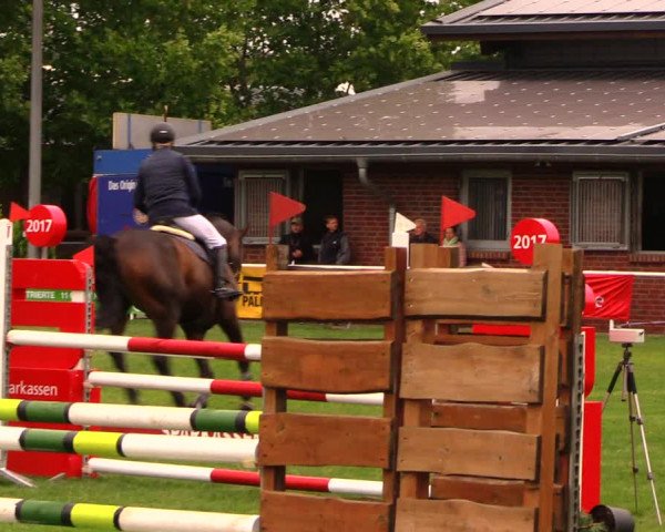 Reitturnier Münchehofe 2017