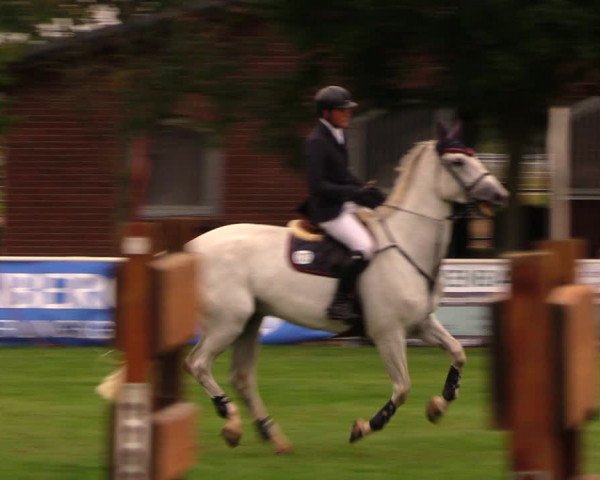 Reitturnier Münchehofe 2017