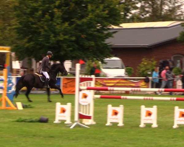 Reitturnier Münchehofe 2017