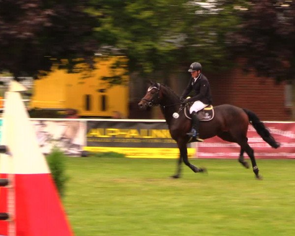 Reitturnier Münchehofe 2017