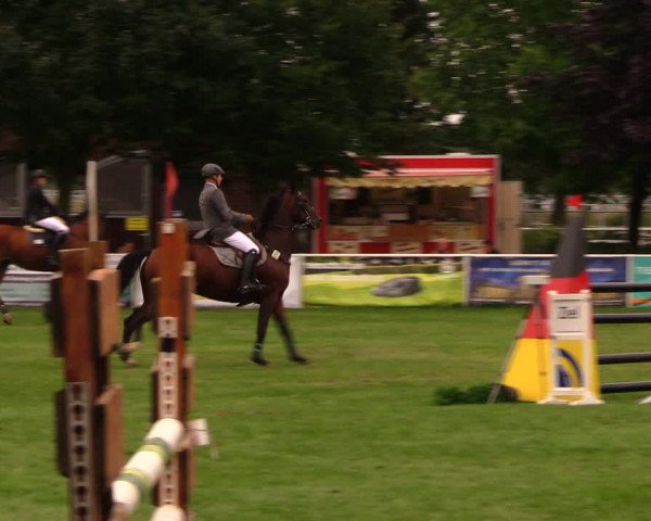 Reitturnier Münchehofe 2017