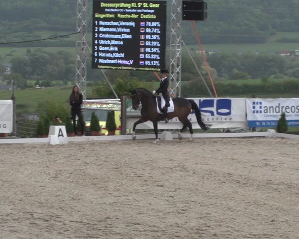 Reitturnier Hünsdorf-Ecurie Josy Hoffmann 2017