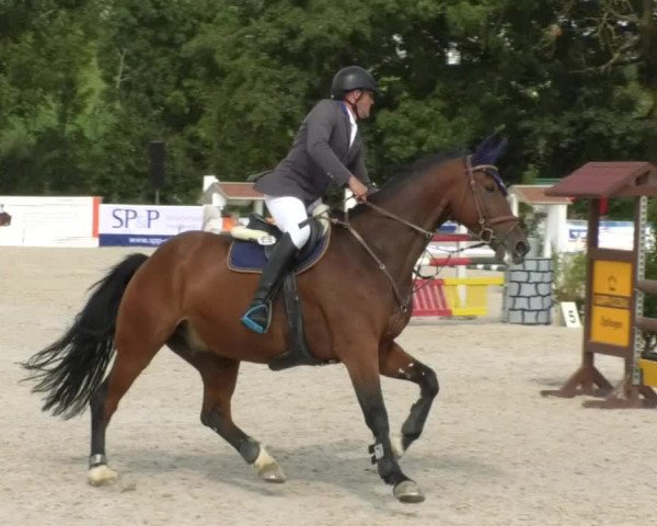 Reitturnier Öpfingen 2017