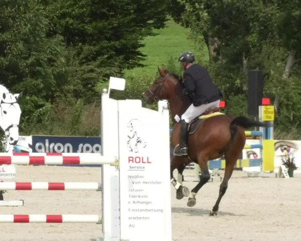 Reitturnier Öpfingen 2017