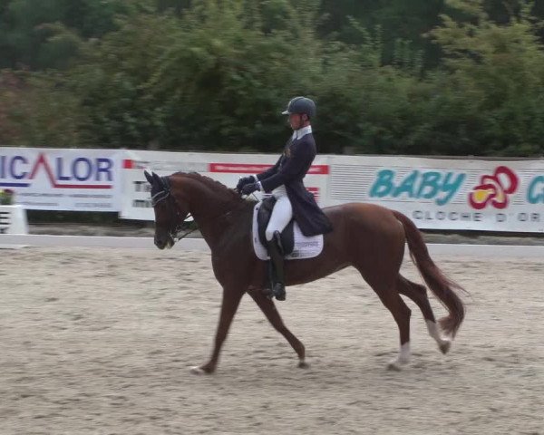 Reitturnier Hünsdorf-Ecurie Josy Hoffmann 2017