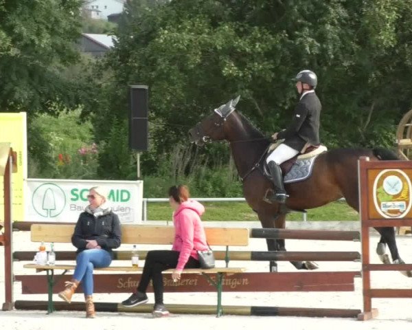 Reitturnier Öpfingen 2017