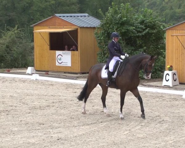 Reitturnier Hünsdorf-Ecurie Josy Hoffmann 2017