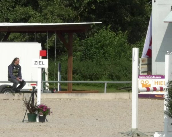 Reitturnier Öpfingen 2017