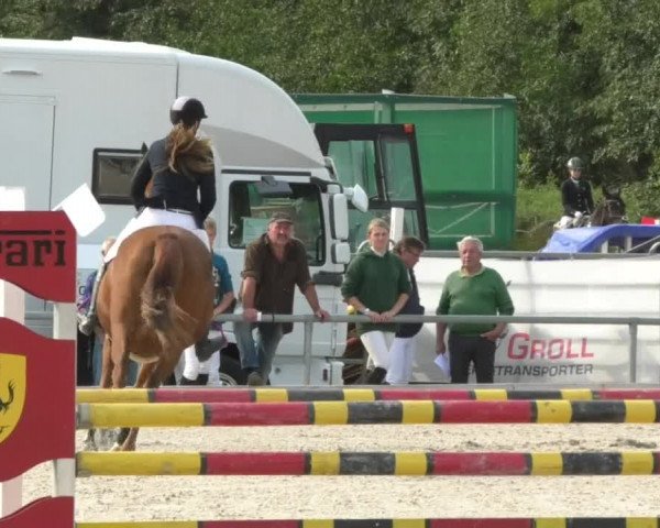 Reitturnier Öpfingen 2017