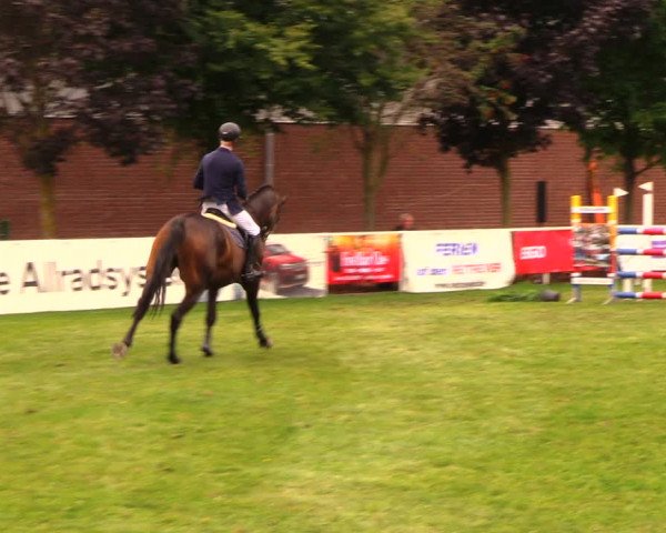 Reitturnier Münchehofe 2017