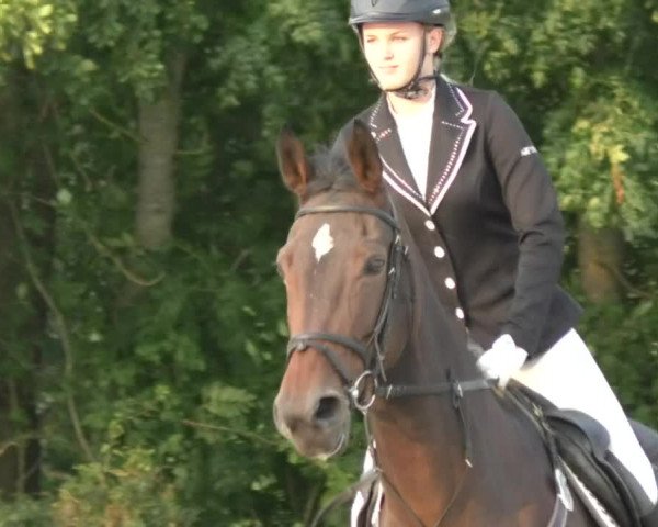 Reitturnier Öpfingen 2017