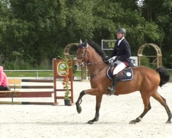 Reitturnier Öpfingen 2017
