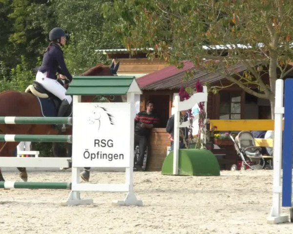 Reitturnier Öpfingen 2017