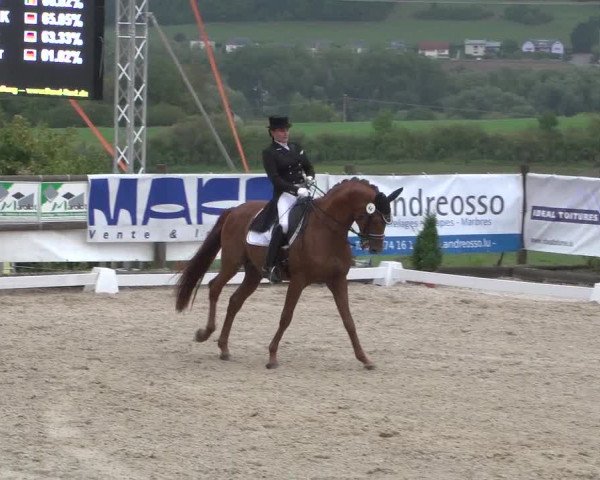 Reitturnier Hünsdorf-Ecurie Josy Hoffmann 2017