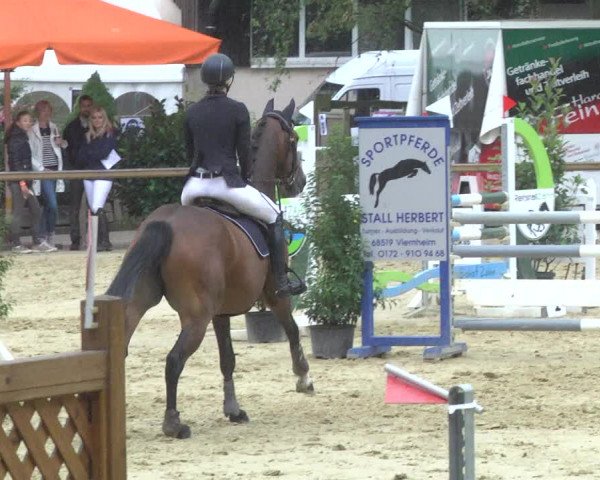 Reitturnier Walldorf/Winterheck 2017