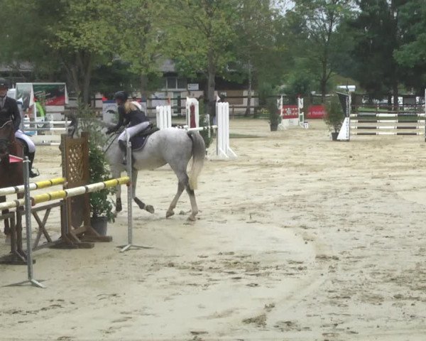 Reitturnier Walldorf/Winterheck 2017