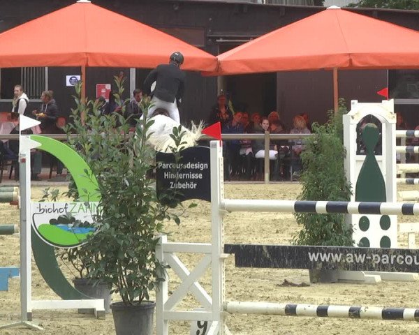 Reitturnier Walldorf/Winterheck 2017