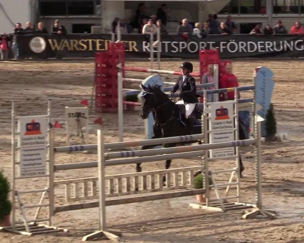 Reitturnier Münchehofe 2017
