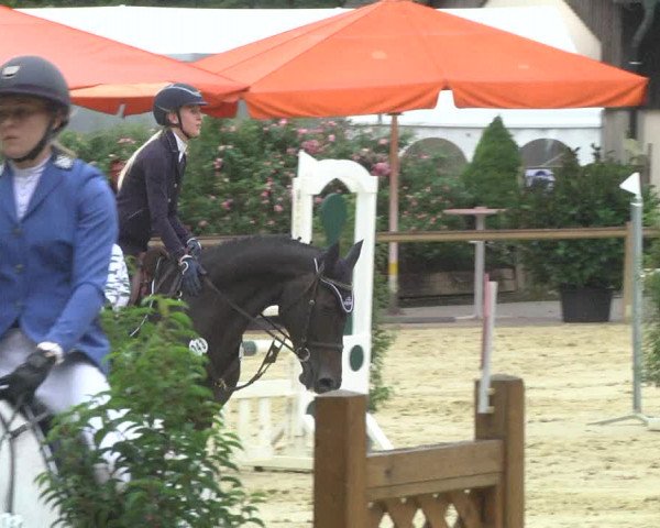 Reitturnier Walldorf/Winterheck 2017