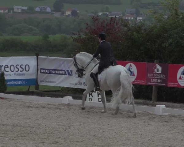 Reitturnier Hünsdorf-Ecurie Josy Hoffmann 2017