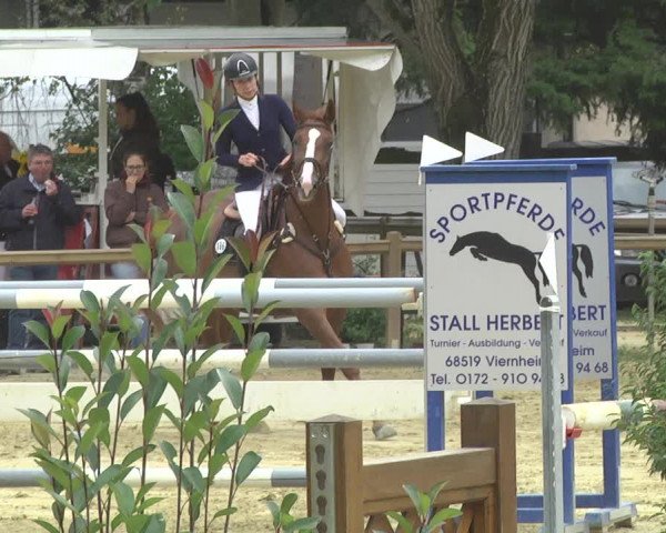 Reitturnier Walldorf/Winterheck 2017