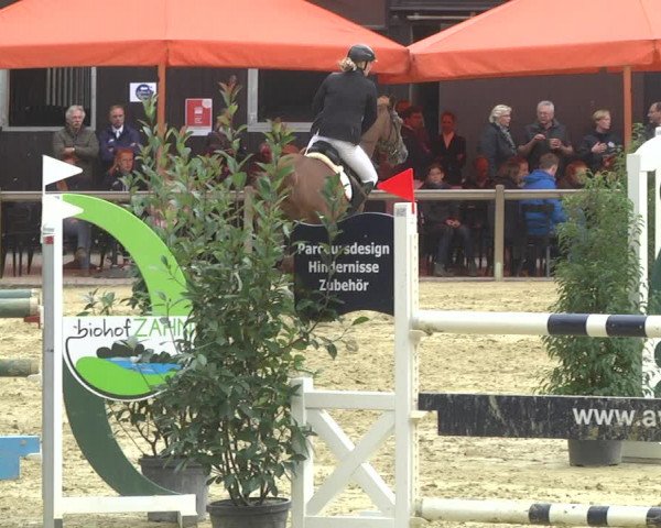 Reitturnier Walldorf/Winterheck 2017
