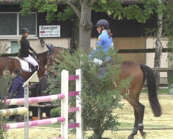 Reitturnier Walldorf/Winterheck 2017