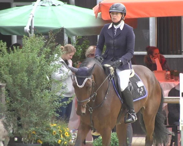 Reitturnier Walldorf/Winterheck 2017